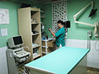 Marina Mihajlović, veterinarski tehničar